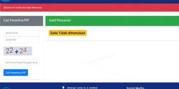 Cek PIP 2025 Terbaru di pip.kemendikdasmen.go.id, Ini Cara Cek Status Bantuan dan NISN Online