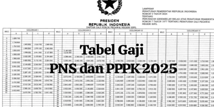 Besaran Gaji PNS dan PPPK 2025: Rincian Gaji Berdasarkan Golongan