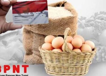 Cek BPNT 2025: 3 Cara Mudah Mengetahui Status Penerima Bantuan dari Pemerintah