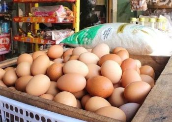 KJP Plus Juni 2025: Begini Cara Ambil Sembako Lewat Antrean Online