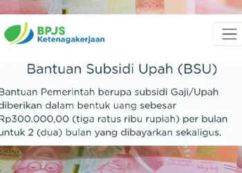 Panduan Lengkap Cek Status dan Proses Verifikasi BSU BPJS Ketenagakerjaan Rp600.000 Tahun 2025