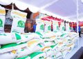 Bantuan Beras Gratis 20 Kg dari Pemerintah Mulai Akhir Juni 2025, Ini Syaratnya