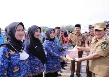 Resmi! Kelulusan PPPK 2024 Tahap 2 Tanpa Passing Grade, Ini Daftar Prioritas Honorer yang Lolos