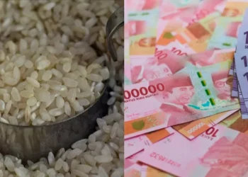 Bansos Rp200 Ribu dan 20 Kg Beras Resmi Cair Juni–Juli 2025, Presiden Prabowo Minta Penyaluran Harus Tepat Sasaran