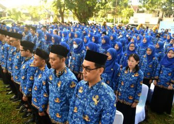 Tunjangan Uang Makan PNS Naik 2025: Cek Besaran Terbaru dan Syarat Lengkapnya