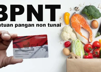 BPNT Tahap 3 Cair Juli 2025! Begini Cara Cek Penerima Bantuan Pakai NIK