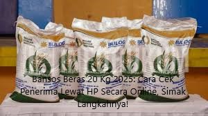 Bansos Beras 20 Kg 2025: Cara Cek Penerima Lewat HP Secara Online, Simak Langkahnya!