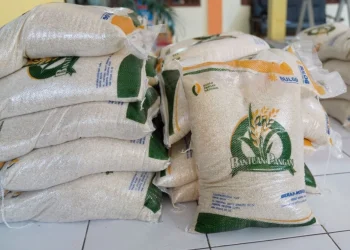Bansos Beras 20 Kg Juli 2025: Syarat, Lokasi, dan Jadwal Penyaluran