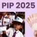 Bantuan PIP 2025 Belum Cair? Cek Dulu Syarat dan Status Berikut Ini
