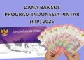 Dana PIP SD 2025 Sudah Cair Hingga Rp1 Juta! Cek Penerima Bantuan di pip.kemendikdasmen.go.id