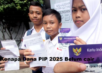 Kenapa Dana PIP 2025 Belum cair? Ini Penyebab dan Cara Cek Penerimanya Secara Online