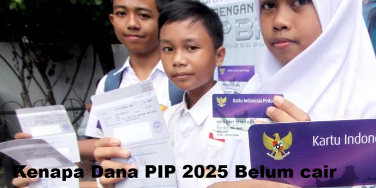 Kenapa Dana PIP 2025 Belum cair? Ini Penyebab dan Cara Cek Penerimanya Secara Online
