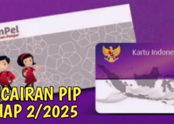 PIP Termin 2 Cair Mulai Juli 2025: Panduan Lengkap Cek Bantuan
