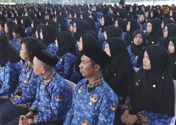 PPPK Kini Setara PNS: Tunjangan dan Pensiun Resmi Disamakan oleh BKN
