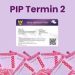Pencairan Dana PIP 2025 Termin 2 Tertunda? Simak Penyebab dan Solusinya