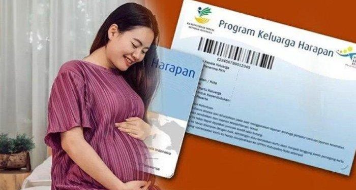 PKH untuk Ibu Hamil: Bantuan Sosial Rp750 Ribu dari Kemensos dan Hak Lainnya