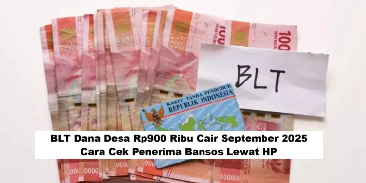 BLT Dana Desa Rp900 Ribu Cair September 2025: Cara Cek Penerima Bansos Lewat HP