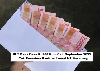 BLT Dana Desa Rp900 Ribu Cair September 2025, Ini Cara Mudah Cek Penerima Lewat HP