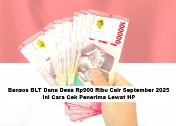 Bansos BLT Dana Desa Rp900 Ribu Cair September 2025, Ini Cara Cek Penerima Lewat HP