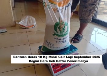 Bantuan Beras 10 Kg Mulai Cair Lagi September 2025, Begini Cara Cek Daftar Penerimanya