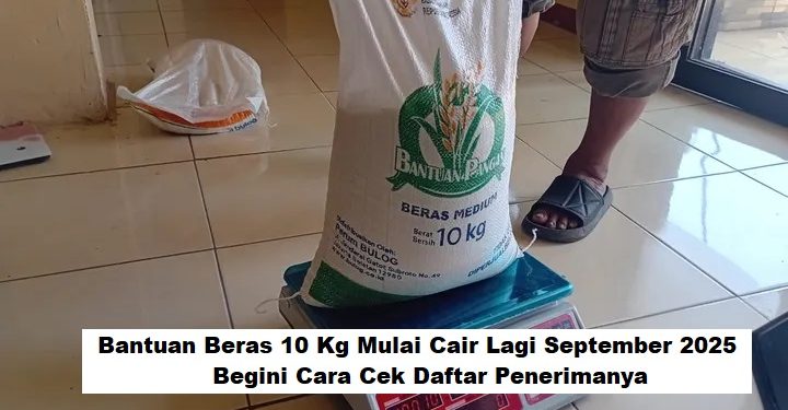 Bantuan Beras 10 Kg Mulai Cair Lagi September 2025, Begini Cara Cek Daftar Penerimanya