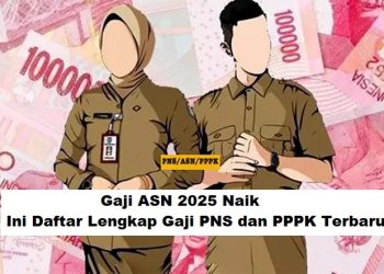 Gaji ASN 2025 Naik, Ini Daftar Lengkap Gaji PNS dan PPPK Terbaru