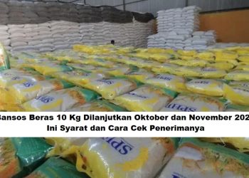 Bansos Beras 10 Kg Dilanjutkan Oktober dan November 2025, Ini Syarat dan Cara Cek Penerimanya