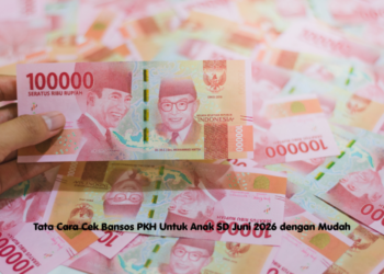 Tata Cara Cek Bansos PKH Untuk Anak SD Juni 2026 dengan Mudah