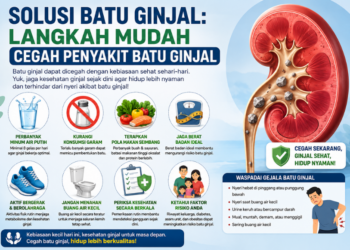 Solusi Batu Ginjal: Langkah Mudah Cegah Penyakit Batu Ginjal