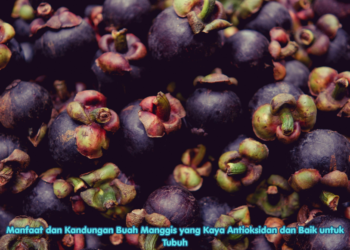 Manfaat dan Kandungan Buah Manggis yang Kaya Antioksidan dan Baik untuk Tubuh