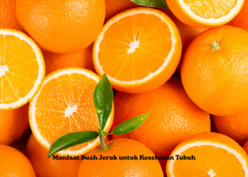 Manfaat Buah Jeruk untuk Kesehatan Tubuh