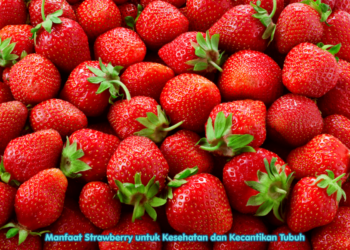 Manfaat Strawberry untuk Kesehatan dan Kecantikan Tubuh