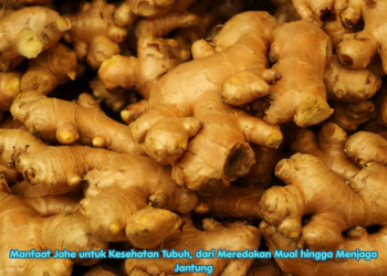 Manfaat Jahe untuk Kesehatan Tubuh, dari Meredakan Mual hingga Menjaga Jantung