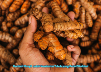 Manfaat Kunyit untuk Kesehatan Tubuh yang Perlu Diketahui