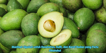 Manfaat Alpukat untuk Kesehatan, Kulit, dan Berat Badan yang Perlu Diketahui